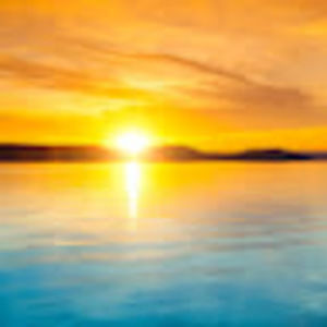 Meet your Posher, Alexander